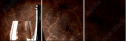 39688407