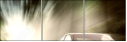 41782111