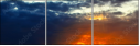 42751455