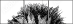 44646006