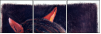 46243808