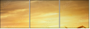 46459823