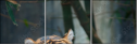 46669646