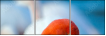 48485872