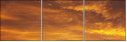 48905885
