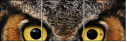 48966303