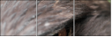 49245808