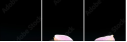 49497530