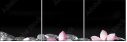 49632963