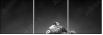 49654340