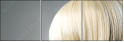 50250548