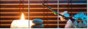50934171