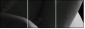 51083503