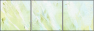 51719241