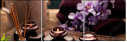 51904440