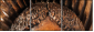 52004103