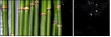 52100193