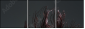 52116617