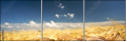 52793015