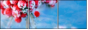 53434522