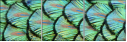 53512479