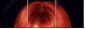 53895849