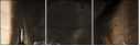 54029258