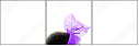 54154961