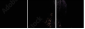 543091383