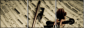 54506799