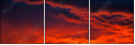 54554863
