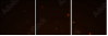 54582803