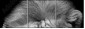 55206469