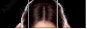 55595313