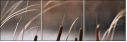 55661015