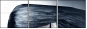 55810226