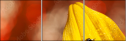 55820987