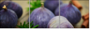 55956609