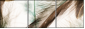 56562123