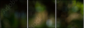 56795972