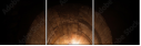 56940386