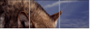 57250614