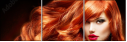 57663589