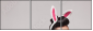57889925