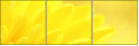 57915870