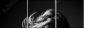 58705796