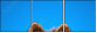 58783058