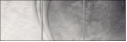 58997973