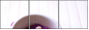 59034418