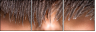 59175977